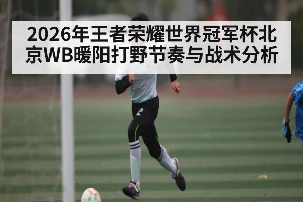 2026年王者荣耀世界冠军杯北京WB暖阳打野节奏与战术分析